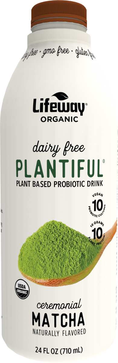 LIFEWAY: Kefir Plant Matcha Organic, 24 fo