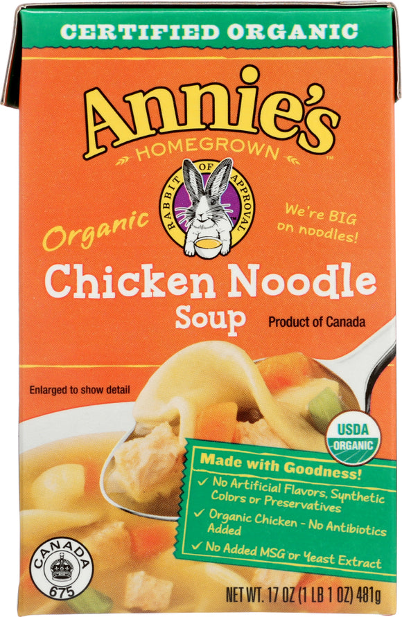ANNIES HOMEGROWN: Organic Chicken Noodle Soup, 17 oz