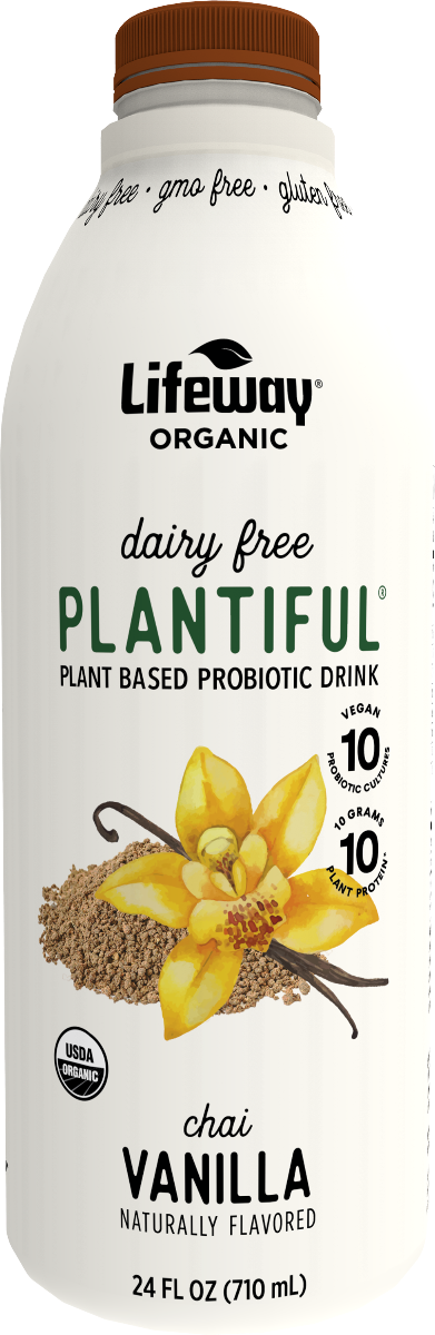 LIFEWAY: Vanilla Chai Organic Plant Based Probiotic Drink, 24 fl oz