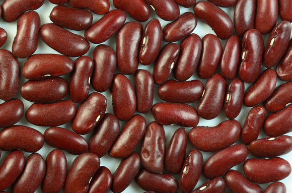BULK BEANS: Kidney Dark Red Organic, 25 lb