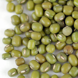 BULK BEANS: Organic Mung Beans, 25 lb