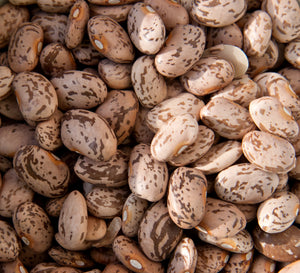 BULK BEANS: Organic Pinto Beans, 25 lb