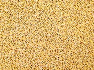 BULK GRAINS: Organic Hulled Millet, 50 lb