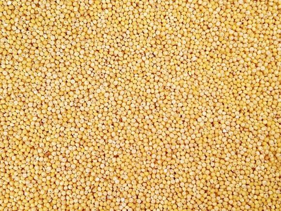 BULK GRAINS: Organic Hulled Millet, 50 lb