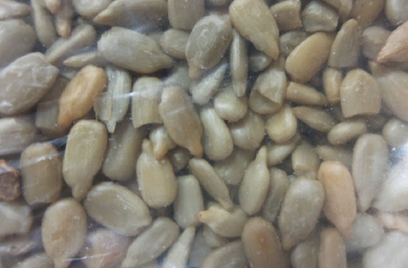 BULK SEEDS: Sunflower Kernel Seeds, 10 lb