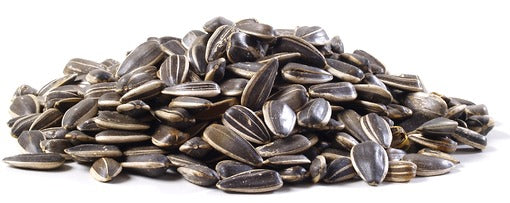 BULK SEEDS: Sunflower Seed In Shell Raw, 50 lb