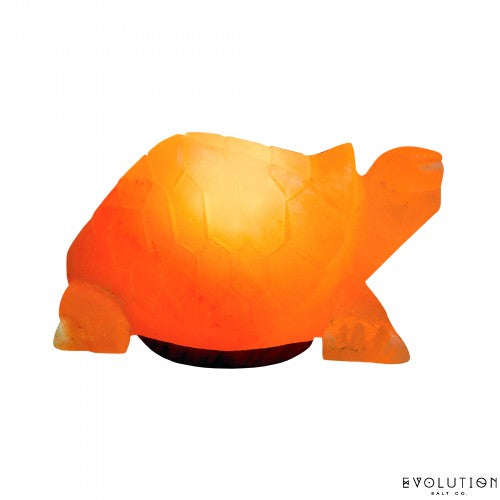 EVOLUTION SALT: Turtle Crystal Salt Lamp 6 lb, 1 ea