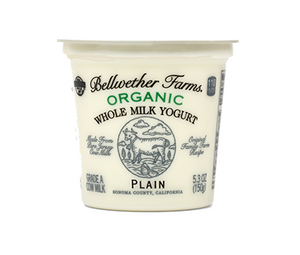 BELLWETHER FARMS: Plain Yogurt Jersey Cow, 5.3 oz