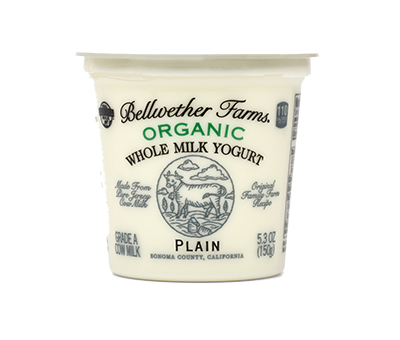 BELLWETHER FARMS: Plain Yogurt Jersey Cow, 5.3 oz