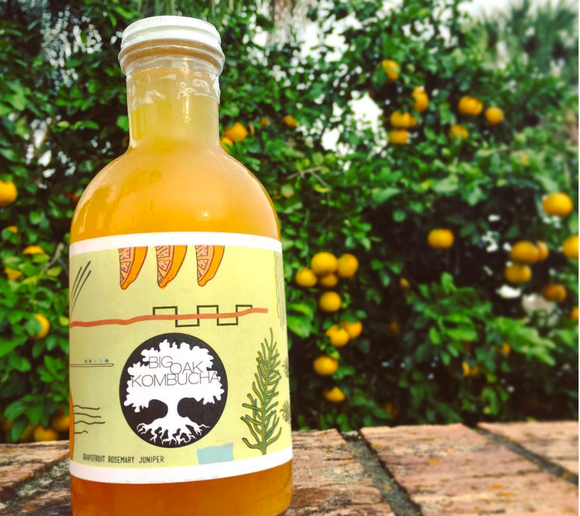 BIG OAK KOMBUCHA: Grapefruit Rosemary Juniper, 16 oz