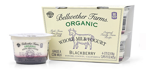 BELLWETHER FARMS: Yogurt Blackberry Jersey Cow, 3.75 oz